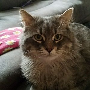 Meet your Posher, Christy