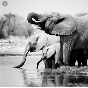 Meet your Posher, Zaida