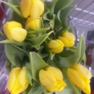 Meet your Posher, Cherie