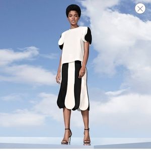 Victoria Beckham for Target B/W skirt