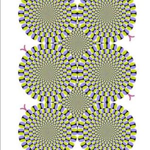 Meet your Posher, Zack