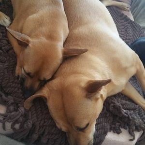 Meet your Posher, Patricia