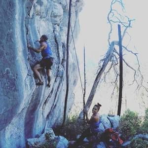 Meet your Posher, Tyler