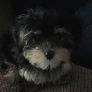 Meet your Posher, Jillian