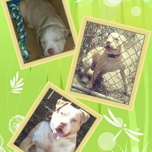 Meet your Posher, Antwuan