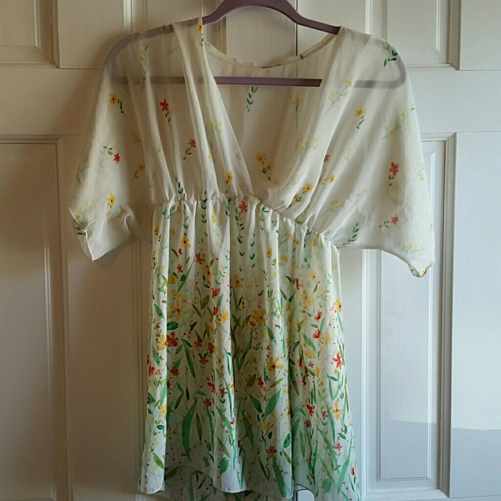 Sheer Spring Tunic Top