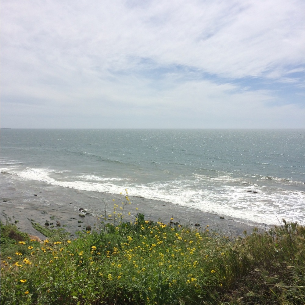 Meet your Posher, Julia