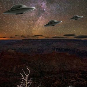 Meet your Posher, Roy