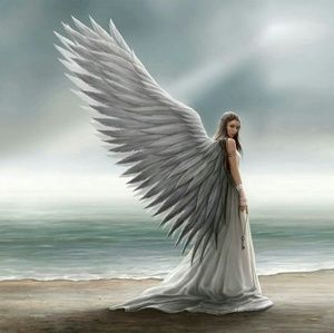 Meet your Posher, Shawnasse