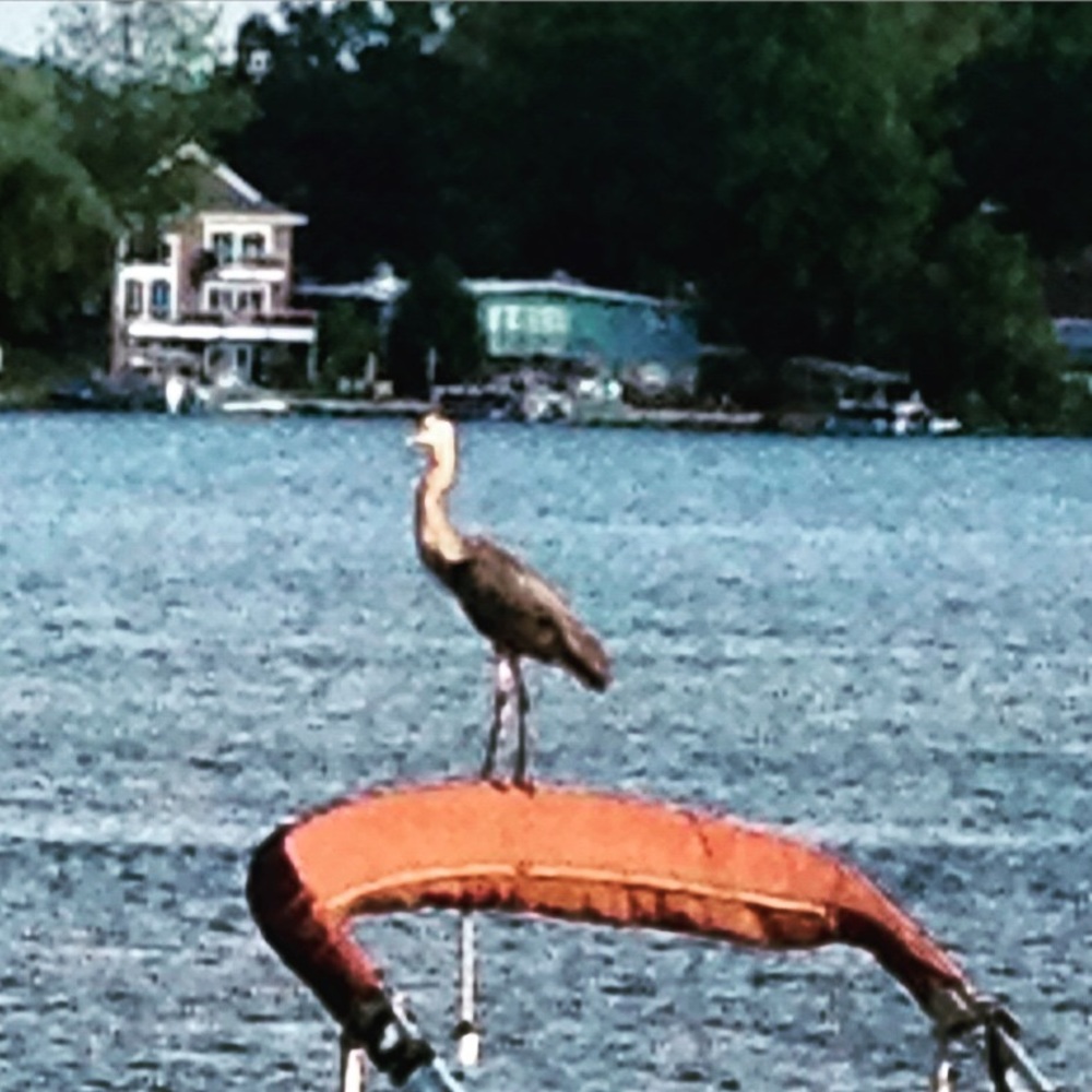 Meet your Posher, Katherine