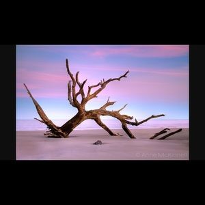 Meet your Posher, Todd