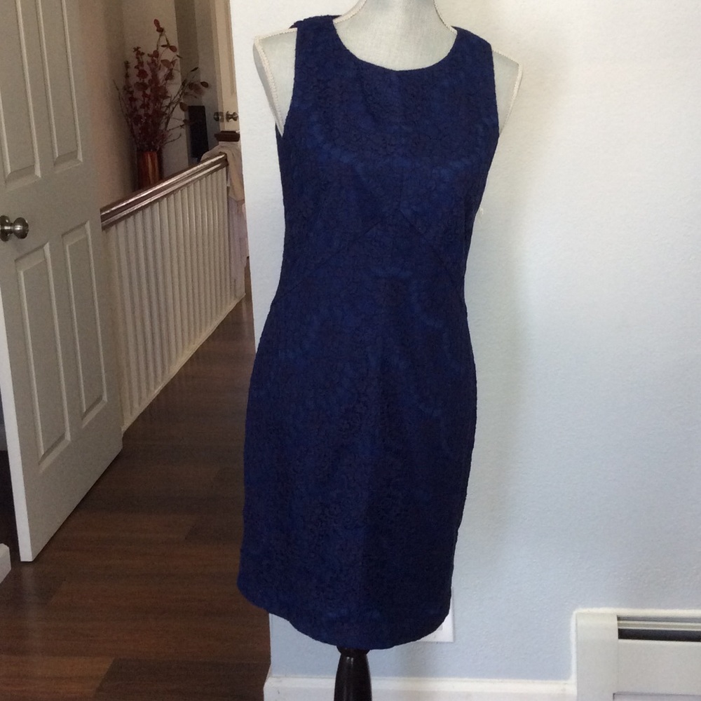 New Vince Camuto blue lace dress size 6