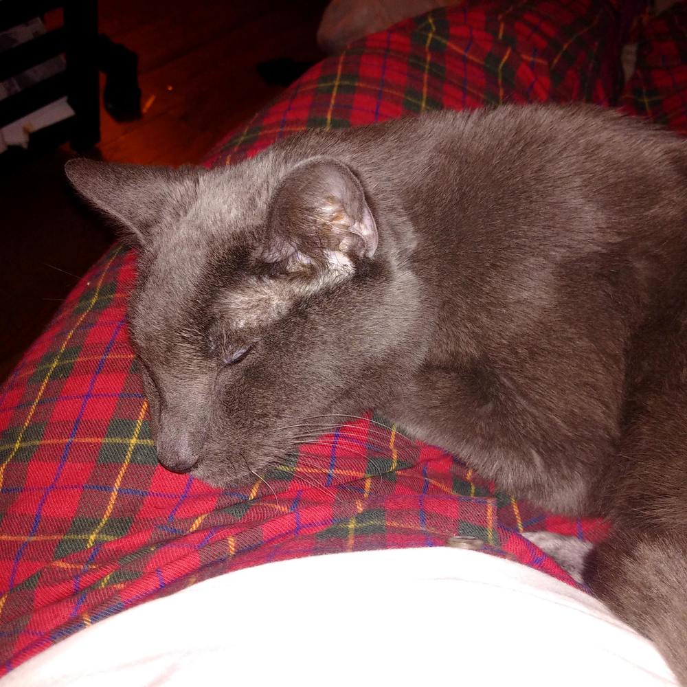 Meet your Posher, Pearl