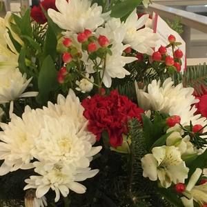 Meet your Posher, Ruth