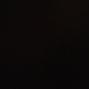 Meet your Posher, Sophia