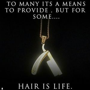 Meet your Posher, Freddy