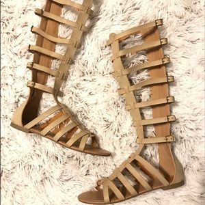 Gladiator Tall Sandals