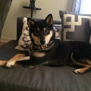 Meet your Posher, Deanna