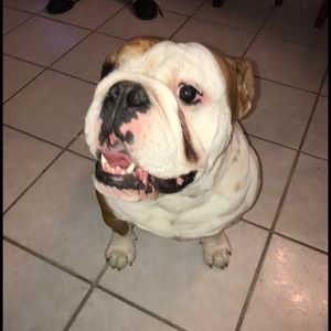 Meet your Posher, Mike