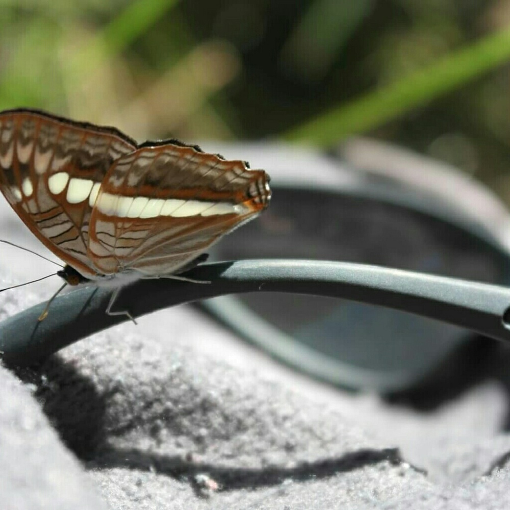 Meet your Posher, May