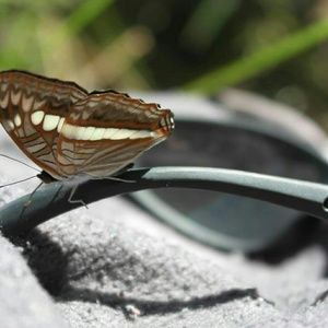 Meet your Posher, May