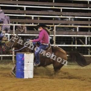 Meet your Posher, Heidi