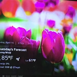 Meet your Posher, Bernadette