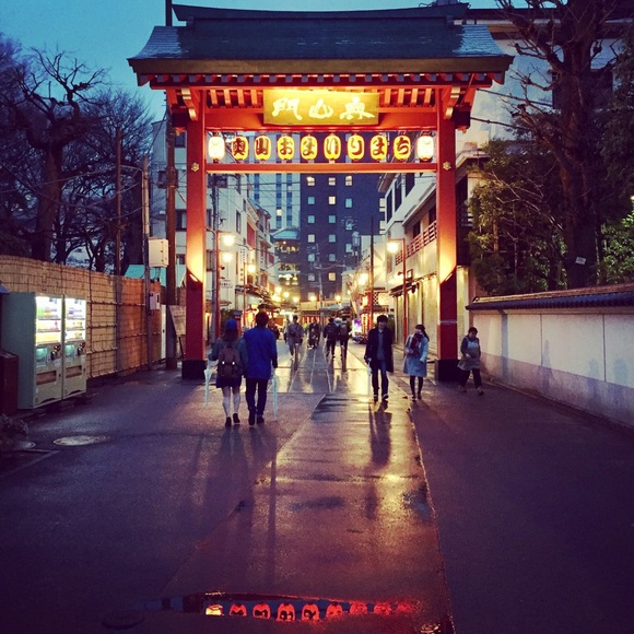 Meet your Posher, Tammy - Picture 4 of 8