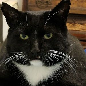 Meet your Posher, Greg