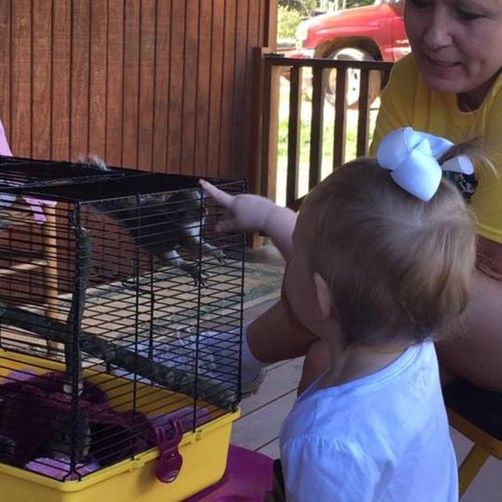 Meet your Posher, Robertandamy