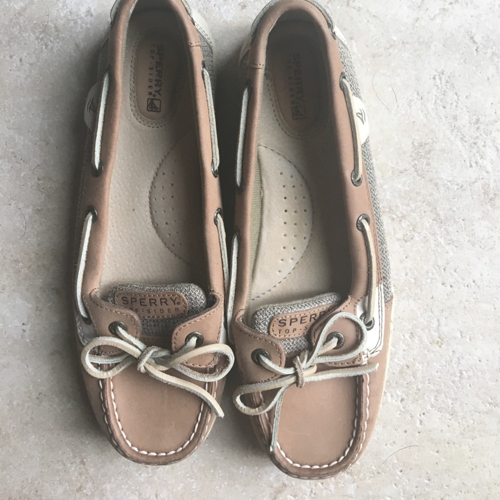 Sperry Top spiders