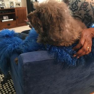 Meet your Posher, Mark