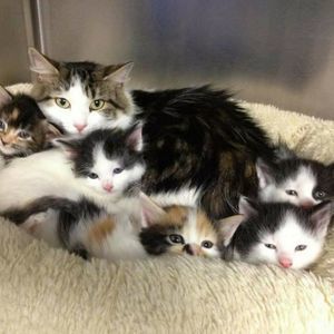 Meet your Posher, Ivette