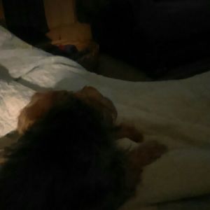 Meet your Posher, Danny