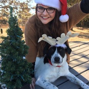 Meet your Posher, Bailey