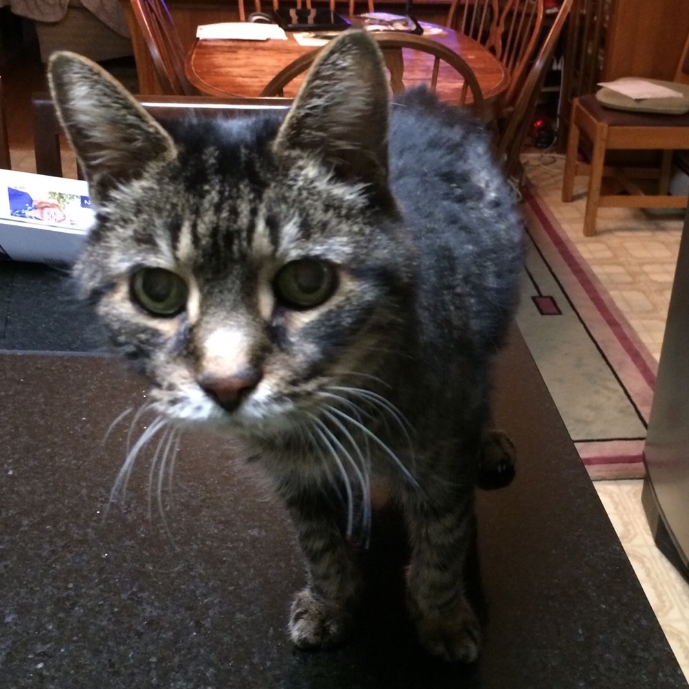 Meet your Posher, Lu