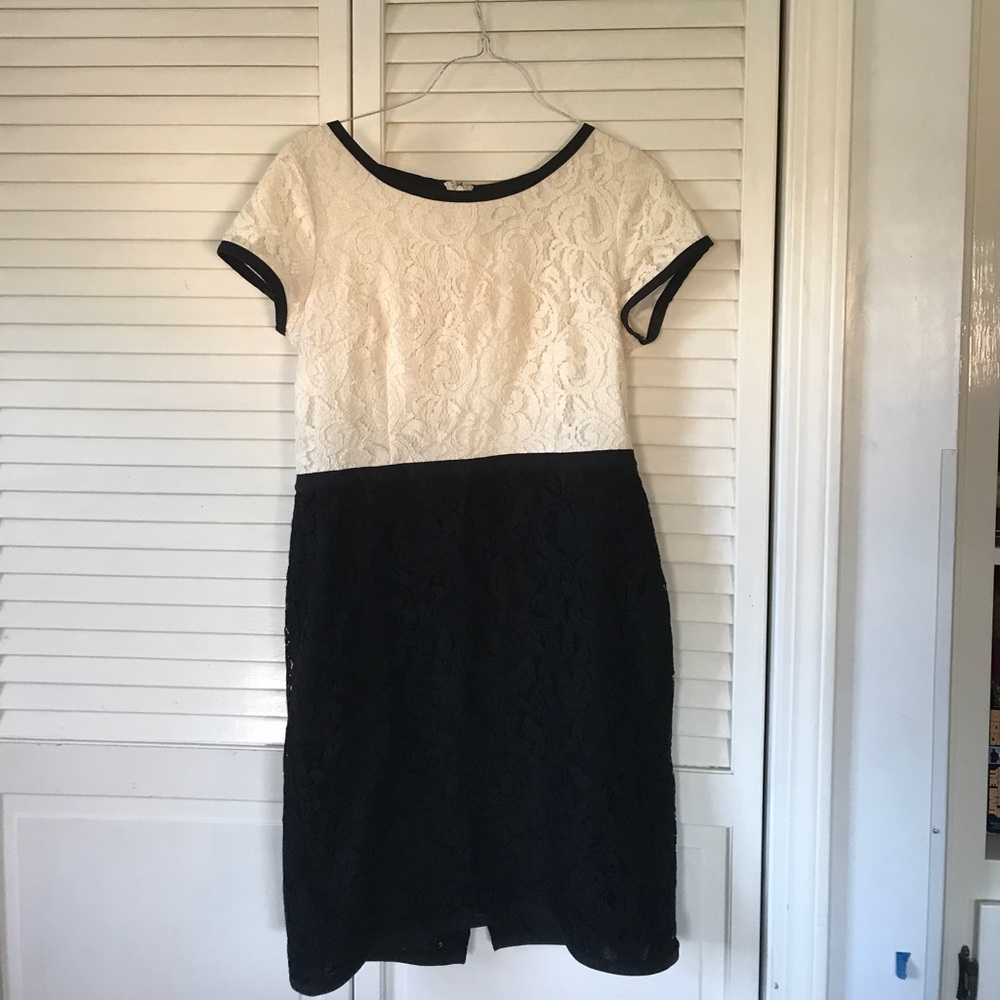 Black and Ivory Anne Taylor Lace Dress