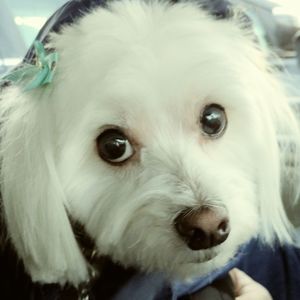 Meet your Posher, Lori