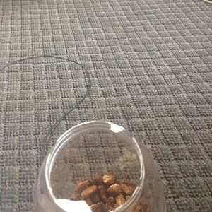 Meet your Posher, Sean