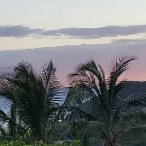 Meet your Posher, Ivette