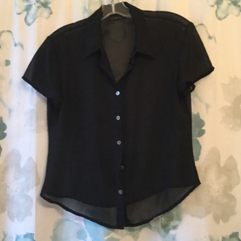 Limited Sheer Cropped Top