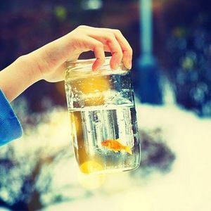 Meet your Posher, Maria jose