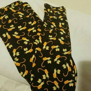 BNWT cats Lularoe!!