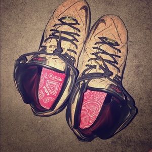 Lebron King Corks TRADES WELCOME