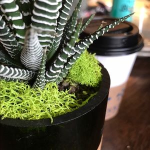 Meet your Posher, Madeline