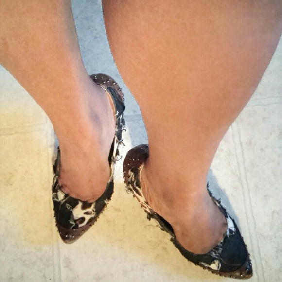 Meet your Posher, Gracie - Picture 7 of 8