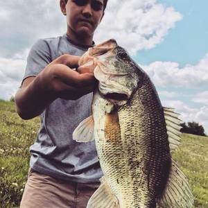 Meet your Posher, Mitchell