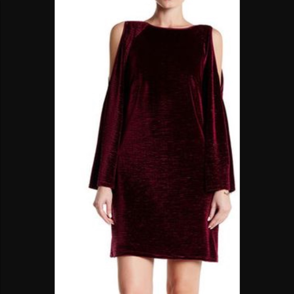 Adrianna Papell Magenta Velvet Dress