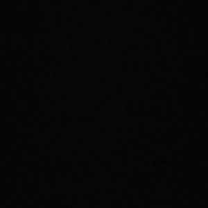 Meet your Posher, Rose