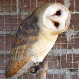 Meet your Posher, Donna l.